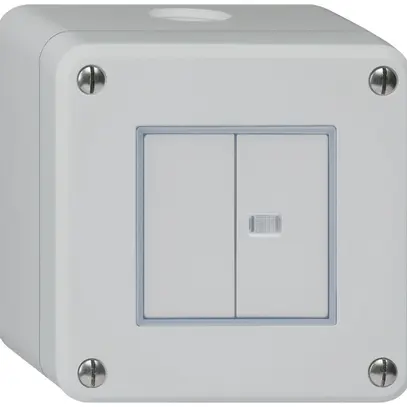 AP-Drucktaster robusto IP55 2×1P grau 1×beleuchtet 