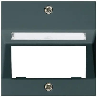 Piatta frontale kallysto per modulo multimedia uscita obliquo duroplast an 