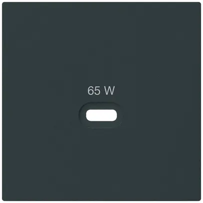 Frontplatte Hager kallysto, zu USB-Ladesteckdose Typ C, schwarz 