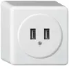 Presa USB AP basico Q 2400mA bianco 