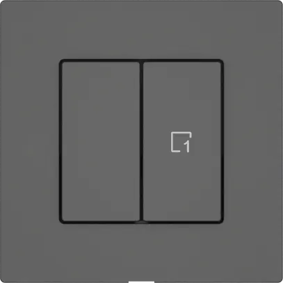 Station sec.interr.EDIZIO.liv Wiser SNAPFIX® 1 scène 2 touches WLAN grf 