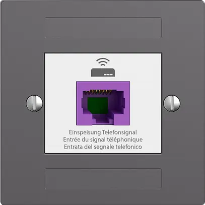 Prise de retour EDIZIOdue F 1×RJ45 p.Swisscom VoIP, 8 pôles, UTP, gris foncé 