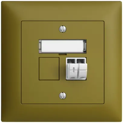 Prise audio ENC Push Type EDIZIOdue FMI, 1×, kit d'inscription, olive 