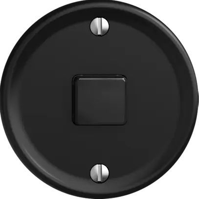 Stazione sec.interruttore STANDARDdue Wiser SNAPFIX® 1 canale 1 tasto ne 