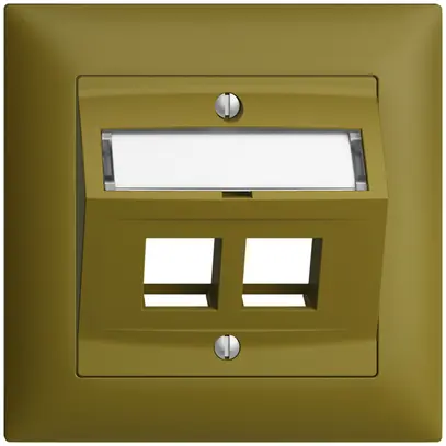 Kit d.montage ENC Edue FMI, avec capot d.sortie oblique, pour 2×Keystone, olive 