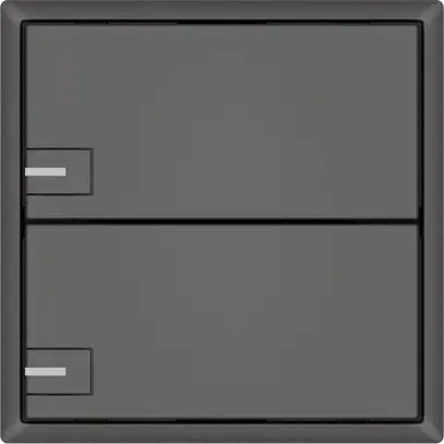 Pulsante universale EDIZIO.liv UNI SNAPFIX® c.LED RGB 2× com.1T grs 