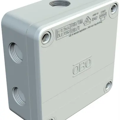Scatola di derivazione AP Bettermann B9/T vuo.gr senza alo.IP67 110×110×50mm 