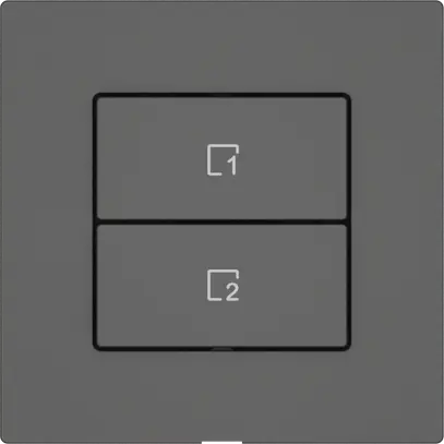 Poussoir scènes EDIZIO.liv Wiser SNAPFIX® 2 scènes 2 touches grf 