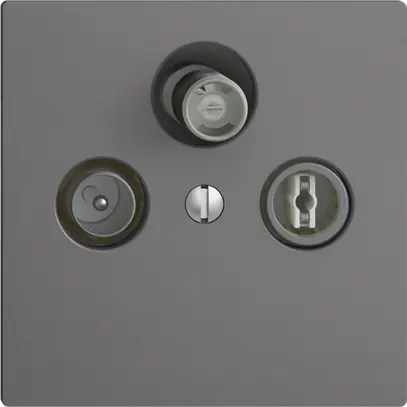 Presa antenna SAT/TV/R DB53 EDIZIOdue grigio scuro, con SAT-F 