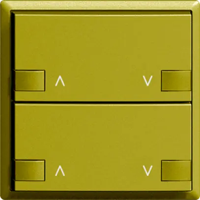 Poussoir ZEP 2c/2t moteur station princ. EDIZIOdue olive 