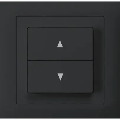 Interruttore per tapparella INS kallysto T scatola INS G3 telaio a innesto nero 