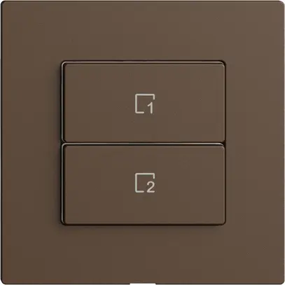 Pulsante scena 2 scene verticale/2T WLAN Edue Wiser coffee 