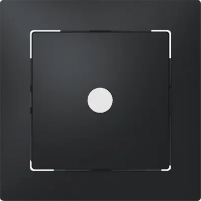 UP-Leuchttaster SIDUS E W/1L anthrazit 