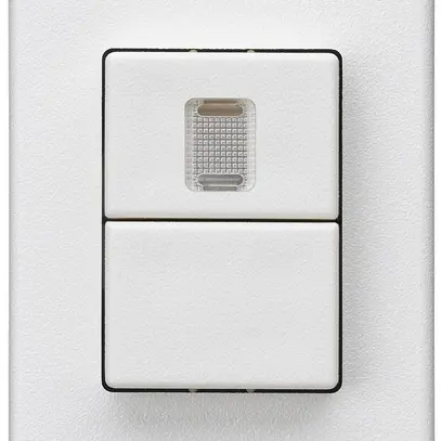 Interrupteur à poussoir double INC Hager FLF 10A/250V 1/1L 1×illuminé blanc 