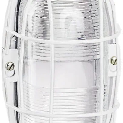 Griglia di protezione metallica ovale per armatura 75W 