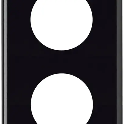 Plaque de recouvrement basico 2×1 2×Ø43mm noir 