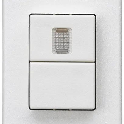 Pulsante doppio INS Hager FLF 10A/250V 0/1L 1× illuminato bianco 