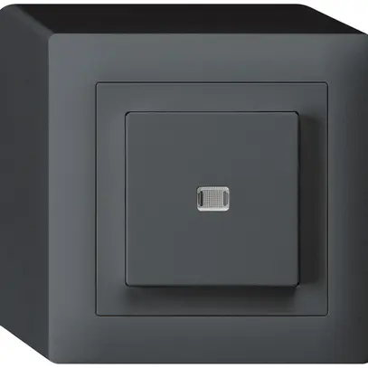 Interrupteur poussoir lumineux AP kallysto 6/1L anthracite 