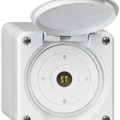 Interruttore a chiave quadrata con copertura AP robusto IP55 S0/3P bianco 