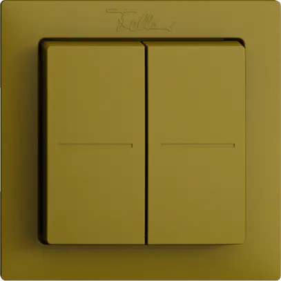 Poussoir RF Smart Light Control Feller EDIZIOdue F, Philips Hue 4K/2T, olive 