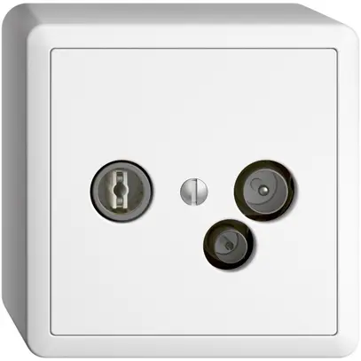 Prise de données AP TV-R DD23 5…65MHz EDIZIOdue blanc 