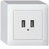 Presa di carica USB AP Hager kallysto 240V 2400mA bianco 