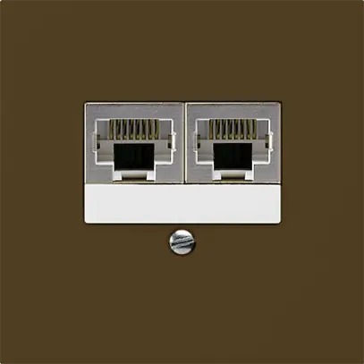Scatola INC kallysto 2×RJ45s marrone CUC separato 