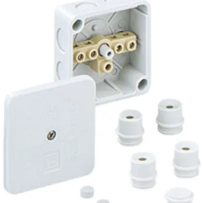 Boîte dérivation AP WK 007 2.5², 80×80×38mm 