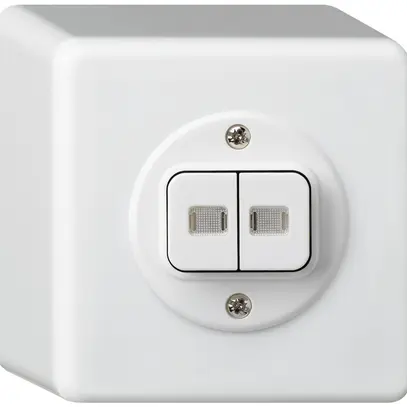 Interr.puls.lum.AP basico 1/3+3/1L con 2 lenti bianco 