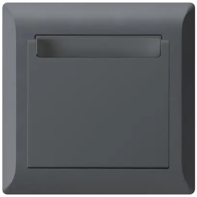 Interrupteur Hotelcard ENC kallysto.line 1L anthracite 