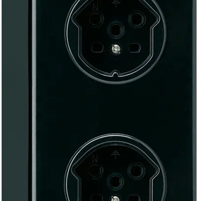 Combinazione AP 2×1 HA basico 2×tipo 15 con morsetti a vite nero 