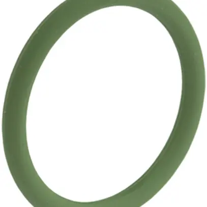 Guarnizione torica AGRO Viton M16 