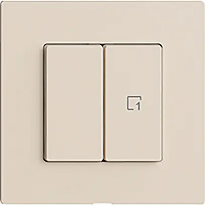 Interrupteur 1K/2T scène WLAN Edue Wiser crema 