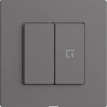 Interrupteur 1K/2T scène Edue Wiser gris foncé 