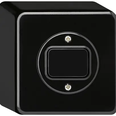 Interruttore AP basico 3/1L nero 