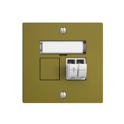 Presa audio Push Type EDIZIOdue F, 1×, kit di dicitura, olive 