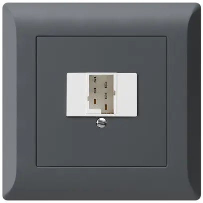 Prise d'enfichage et de raccordement kallysto.line 1×TT83 anthracite 