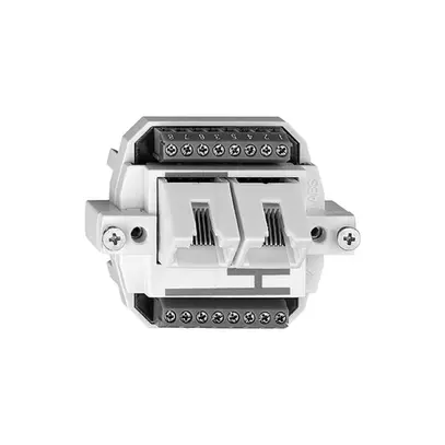 Interno BSE 2RJ45 separato 