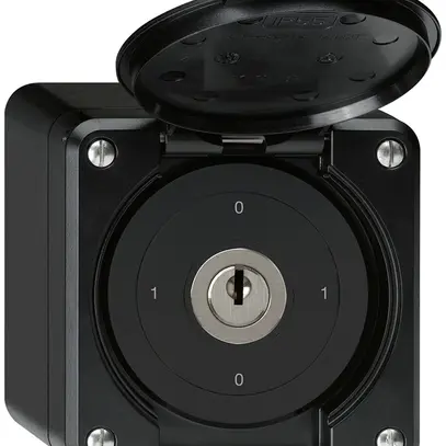 Interruttore a chiave AP robusto IP55 con copertura S0/2P nero 