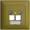 Prise multimédia ENC EDIZIOdue FMI EASYNET 19dB, p.2×RJ45 S-One, olive 