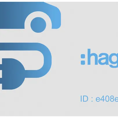 Carte Hager pour borne de charge witty avec RFID, jeu de 20 pièces 