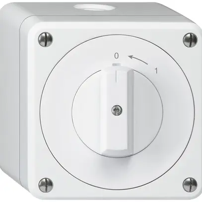 Contatto rotativo AP robusto IP55 bianco 2P 