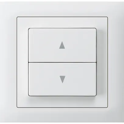 Pulsante per tapparella INS kallysto T scatola INS G3 telaio a innesto bianco 