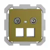 Prise multimédia 19dB ENC Edue FM, prise de passage, pour 2×RJ45 Keystone, olive 