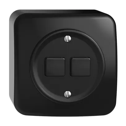 Stazione secondaria per interruttore AP 2c/2t WLAN Sdue Wiser nero 