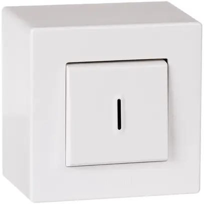 Interrupteur temporisé AP ATO 25s-15min blanc grd.I 