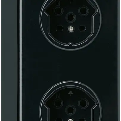 Combinaison AP 2×1 HA basico 2×type 15 avec bornes enfichables noir 