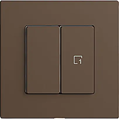 Stazione secondaria per interruttore 1c/2t scena WLAN Edue Wiser coffee 