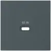 Placca frontale Hager kallysto, per presa di ricarica USB tipo C, antracite 