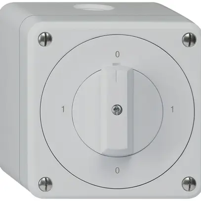 Interruttore rotativo AP robusto IP55 schema 0/3P grigio 